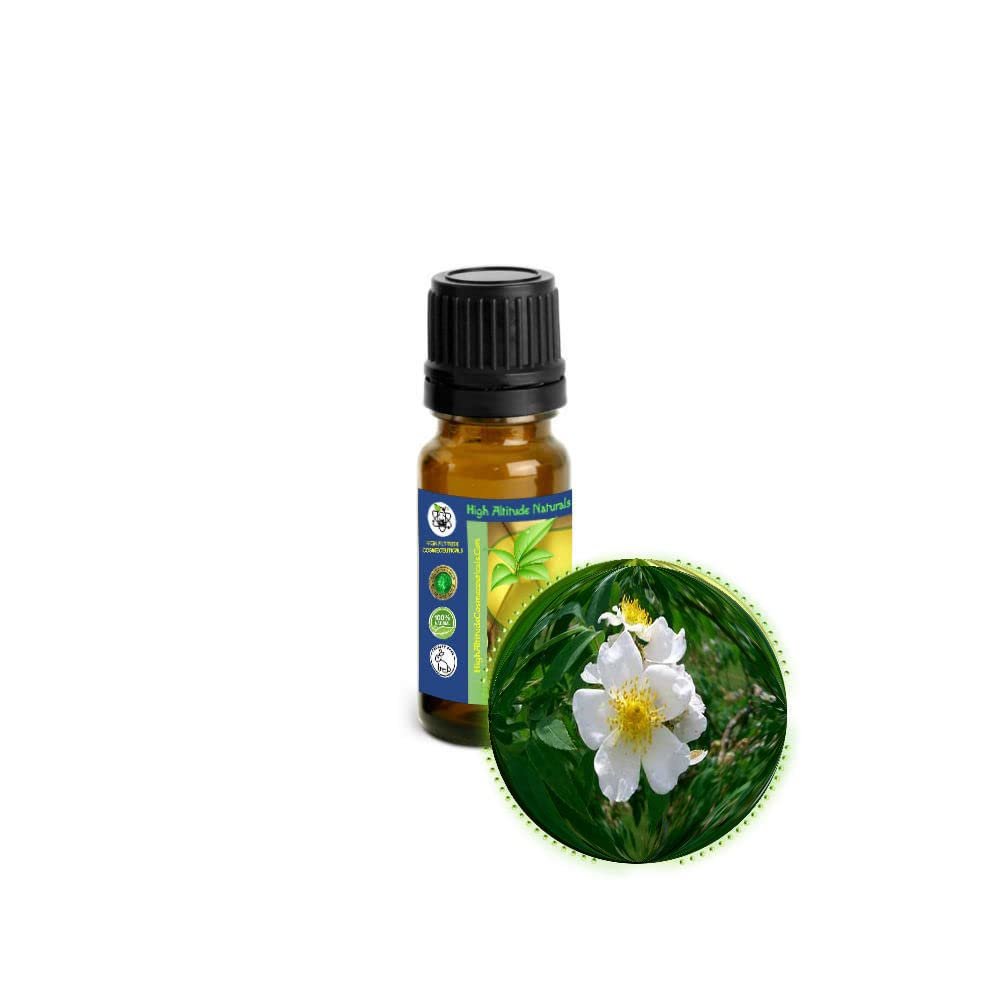 10ml (1/3oz) Wild Musk Rose Essential Oil (Rosa Moschata) -100% Pure, Undiluted, Uncut - Elixir of Youth for Skin Care, Aromatherapy, Massage, Perfumery - Add to Favorite Moisturizer, Cream, Lotion