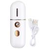 Portable Steamer, Mini USB Humidifier, Nano Sprayer, Steamer Machine view 1