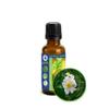 30ml (1oz) Wild Musk Rose Essential Oil (Rosa Moschata) -100% Pure, Undiluted, Uncut - Elixir of Youth for Skin Care, Aromatherapy, Massage, Perfumery - Add to Favorite Moisturizer, Cream, Lotion view 1