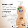 BBRATS Cocoa repair Body Lotion with Pure Coconut Milk & Cocoa butter, 100% Natural Moisturiser, 400ml view 3