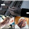 Panda Legends 3 Sheets Snake Scales Temporary Tattoos Halloween Body Art Tattoo Stickers Cosplay Costume Party Fake Tattoos, black, 19cm, 0.15 kilograms view 4