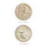 Earth To Skin Tea Time Mini Duo Set: White Tea Day Cream (0.5 Fl Oz) and Black Tea Night Cream (0.5 Fl Oz), All-Day & Night Hydration for Face and Neck (2 Pack) view 3