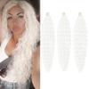 24inch Ocean Wave Braiding Hair Extensions 3packs Long Deep Curly Wave Braid Hair Synthetic Twist Ripple Crochet Curly Braids Hair for Women 100g/pack(24",White) view 1