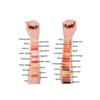 Romantic Beauty Cocktail Party 35 Colors Eyeshadow palette view 3