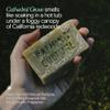 Bathing Culture, Natural Organic Soap Bar for Body, Exfoliating Bar Soap, Infused with Chlorella, Comfrey Root & Aloe, Natural, Biodegradable, Vegan Personal Care, 4.58 oz, 127 g, Holiday Gift Idea view 2