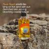 Bathing Culture, Organic Heat Wave Body Oil, Organic Body Oil for Women and Men, After Shower Moisturizer, Natural, Biodegradable, Vegan Personal Care, Nude Beach Scent, 4 fl oz, Holiday Gift Idea view 3