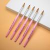 RYNNYI Acrylic Nail Brush,100% Kolinsky Nail Brush,Oval Crimped Shape Brush for Nail Art(Size 12) view 3