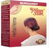 QRA MOON STAR Herbal Henna Burgundy Hair Colour (6 Packs of 10 Gms Each) view 1