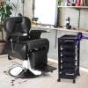 Paddie Black Salon Trolley Cart with Wheels/5 Drawers/Dryer Holder/Tint Bowl Slot for Hair Stylist, Beauty Equipment view 2
