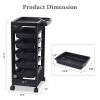 Paddie Black Salon Trolley Cart with Wheels/5 Drawers/Dryer Holder/Tint Bowl Slot for Hair Stylist, Beauty Equipment view 3