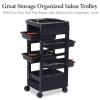 Paddie Black Salon Trolley Cart with Wheels/5 Drawers/Dryer Holder/Tint Bowl Slot for Hair Stylist, Beauty Equipment view 4