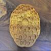 Wooden Essential Oil Holder view 3