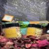 Strawberry Cheesecake- Body Butter (Unscented, Sample) view 1