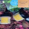 Strawberry Cheesecake- Body Butter (Unscented, Sample) view 3
