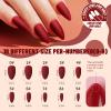 Teenitor Almond Press On Nails, 12 Color 288Pcs Matte Glue On Nails Almond Shape Press On Nails Medium Length Fake Nails view 2