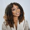 12 Inch Jamaican Bounce Crochet Hair 22 Strands 4 Packs Wand Curl Crochet Hair Curly Crochet Braids for Black Women (12 Inch (Pack of 4), T1B-27#) view 1