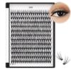 Bodermincer 20D Lash Clusters Wispy Eyelash Clusters 240pcs D Curl (20D-D Curl-16mm) view 1