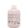 Inebrya Ice Cream Dry-T Shampoo - Nourishing Shampoo for Dry, Frizzy, and Treated Hair with Silk and Wheat Proteins (10.14 oz.) view 2