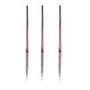 FRCOLOR 9pcs Nail Art Brush Rose Gold Drawing Line Pen for Professional Manicure for Nail Art Designs Portable view 3