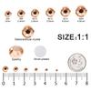 4240Pcs Champagne Flatback Rhinestones 6 Sizes Crystal Diamonds for Nail Art Crafts Clothes Shoes with Tweezers and Picking Pen view 2