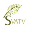 SVATV Vitamin-e Aloe Vera Gel | Soothing Skin Hydration | Paraben & Sulfate Free - 200g | 7.05 Oz | 0.44 Lbs view 4