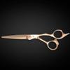 Gold Hair Cutting Shears for Professional Hairdresser - 6" Gold Hair Scissors - Japanese 440C Steel - Super Hard, Sharp Cutting Edge - Saki Shears Tsuru Gold view 2