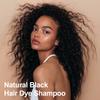 Black Argan Oil Hair Dye - 16.9 Fl Oz, 3 in 1 Semi-Permanent Color Shampoo, Easy To Use (Black) view 2