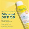 Seaweed Bath Co. Sheer Mineral Sensitive SPF 50 Broad Spectrum Sunscreen Spray - Fragrance Free, Non-Nano, Skin-Friendly Formula - 6 oz view 2