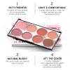 KYDA 8 Colors Face Blush Palette, Natural Matte Blush Palette, Smooth Blendable Powder, Multiuse Blusher Makeup with Contour and Highlighter view 4