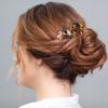 French Hair Pins Tortoise Shell French Hair Forks U Shaped French Pins 2 Prong Hair Sticks Acetate Chignon Pin for Women Hairstyle Accessories 2 Pack view 2