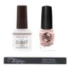 Tammy Taylor Z-Coat Signature Kit | High Gloss Top Coat view 1
