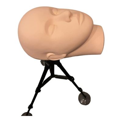 Mannequin Training Head for Lashes, and Makeup, with Eyelash Applicator, and Training Lashes, and Free Holiday Lashes