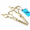 6.0 Inch Hair Cutting Scissors Set, High End Shears Cutting and Thinning Scissors Kit, Japanese Stainless Steel, with Free Black Leather Case, for Men/Women/Kids/Salon and Home(Gold) view 4