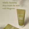 I'm from Mugwort Gel Cleanser 150ml, Mugwort 60%, Calming, Soothing, Mild low pH Korean Face Wash for Sensitive Skin, Irritated Skin, Herbal, Hypoallergenic, Vegan view 2