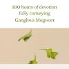 I'm from Mugwort Gel Cleanser 150ml, Mugwort 60%, Calming, Soothing, Mild low pH Korean Face Wash for Sensitive Skin, Irritated Skin, Herbal, Hypoallergenic, Vegan view 4