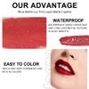 6 Colors Matte Red Wine Liquid Lipstick Pack Set,Wine bottle Lip Gloss Tint Long Lasting 24 Hour Waterproof Velvet Nonstick Cup Lipgloss Lip Stain Pigmented Lip Makeup Gift Sets for Girls and Women view 3