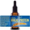 Artekas Innovation - HYDROLYZED WHEAT PROTEIN - Liquid - for Homemade Hair, Skin, Body Wash, Shampoos, Conditioners - 1.00 Oz view 1