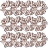 12 Pcs Satin Silk Scrunchies, Soft Hair Ties, Fashion Bands, Bows, Ropes, Elastic Bracelets, Ponytail Holders, Hair Accessories for Women and Girls (4.5 Inch, Champagne) view 1