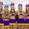 CN 30PCS 8" Large Cheer Bows, Cheerleading Bows Ponytail Holder for Girls, Grosgrain Ribbon Purple Cheer Hair Bows with Elastic Hair Tie for Cheerleader College Sports Softball Competition view 2
