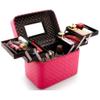 Feiyx Cosmetic Storage Organizer - Portable Cosmetic Case,Jewelry and Hair Accessories Storage Box,- 4 Tier Trays Professional Makeup Storage Organizer Box Make Up Carrier Display and Easy Organize Co view 1