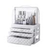 Feiyx Makeup Storage Organizer with Lid and Drawers - Acrylic Cosmetic Storage Drawers and Jewelry Display Box for Cosmetics Display Cases Makeup Storage Drawers view 1