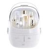 Feiyx Makeup Organizer Cosmetic Storage Box Holder with Dust Free Cover Portable Handle,Fully Open Waterproof Lid,Dust Proof Drawers,for Cosmetic Accessory and Jewellery Large Capacity Cosmetic Displa view 1