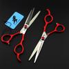 6.0 Inch Professional Hair Cutting Scissors Shears Kit, Red Handle Hairdressing Scissors Set, 440C Japanese Stainless Steel, for Men Women Kids Home Salon Barber Tools Kit view 3