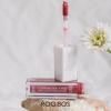 Seraphine Botanicals Long Lasting Vegan Lip Stain with Cherimoya & Fig Extracts - Lustrous Liquid Lipstick Intense Color Pigment High Impact Makeup Lip Cream Color Stick Balm for Women (Rooibos) view 3