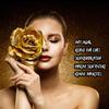 Nielies 24K Collagen Facial Mask (15 PCS) Anti Wrinkle, Firm Skin & Hydrating Skin Anti Aging, Puffiness, Mask for Revitalizing view 3