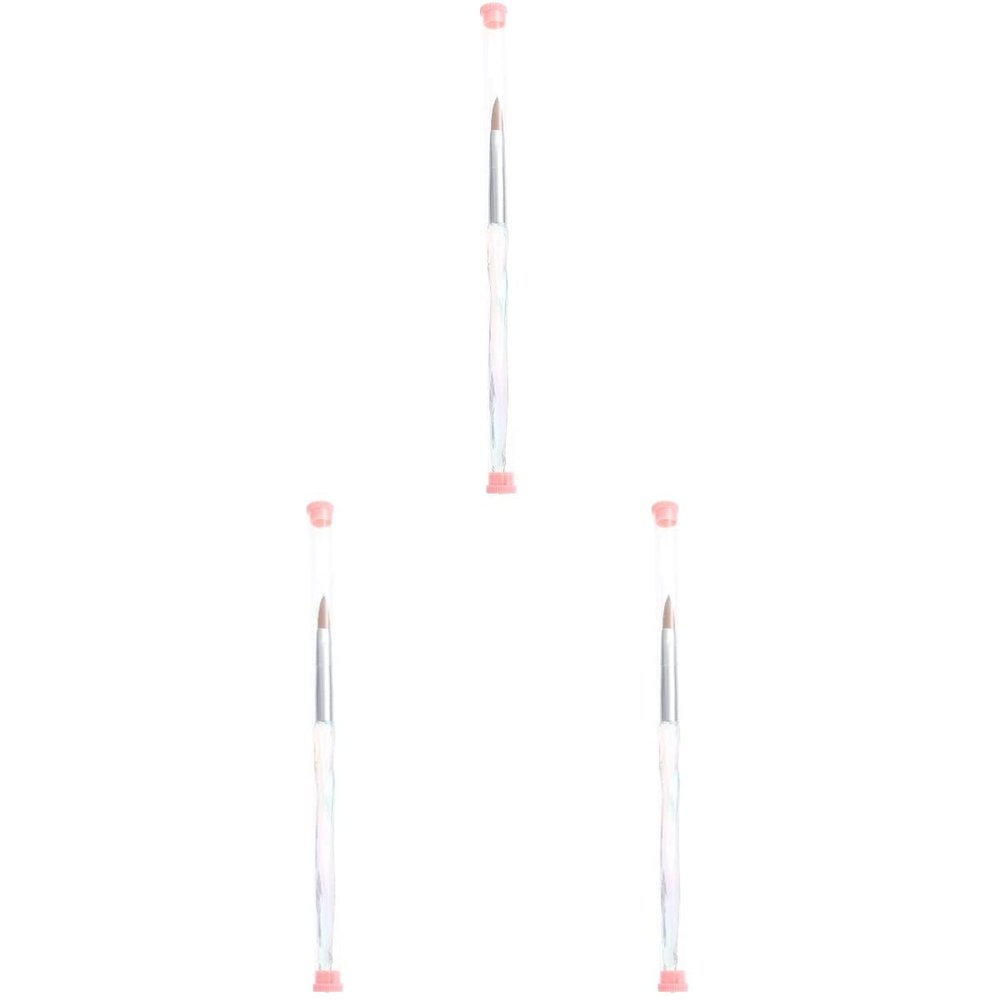 LALAFINA 3pcs Diy Manicure Supplies Nail Art Brush Nail Art Drawing Pen Manicure Drawing Tool Painting Brush Polish Accessories Covers for