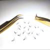 1000 Premade volume fans Mixed 4 lengths 9-12 | 11-14 | 13-16 CC, D Curl Wispy Handmade eyelash extensions supplies Russian volume lash promade fan 4D 5D 6D 10D (13mm - 16mm, 8D - 0.05 - D) view 3