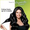 Saheb Damage free Gel hair colour Trial Pack- Black view 4
