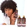 WOW Skin Science Onion Black Seed Oil Shampoo & Conditioner Treatment Set with Oil for Strong, Soft & Shine Hair for All, Dry, Damaged Hair Types, Sulfate, Paraben, Silicone Free view 3