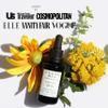 Vegan Mia USDA Organic Rosemary Oil for Hair Growth with Castor, Jojoba, Argan, Amla & More Deeply Hydrates & Intense Nourishment for Itchy Scalp, Stubborn Dandruff & Dry Scalp Treatment, 3 Pack view 2